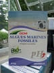 Algues marines fossiles 4Kg