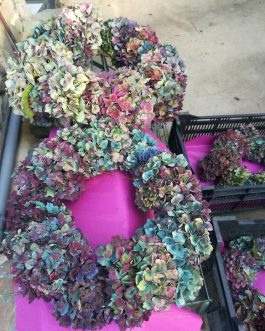 Couronnes d'hortensias semi-séchées