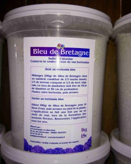 Bleu de Bretagne (1Kg)